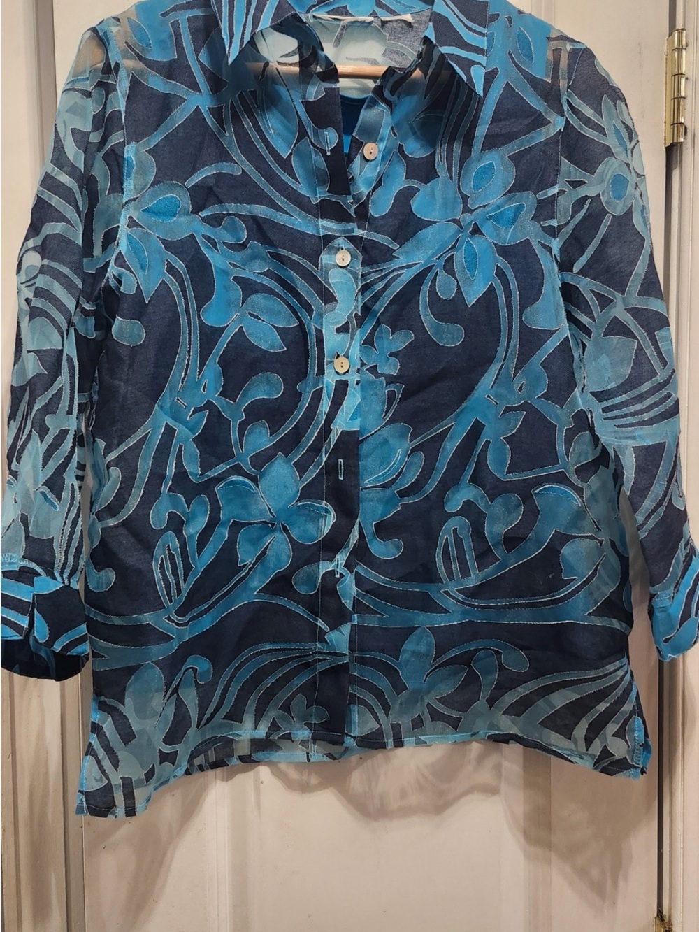 Women’s Blue Floral Sheer Button-Up Top